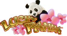 Lucky Panda